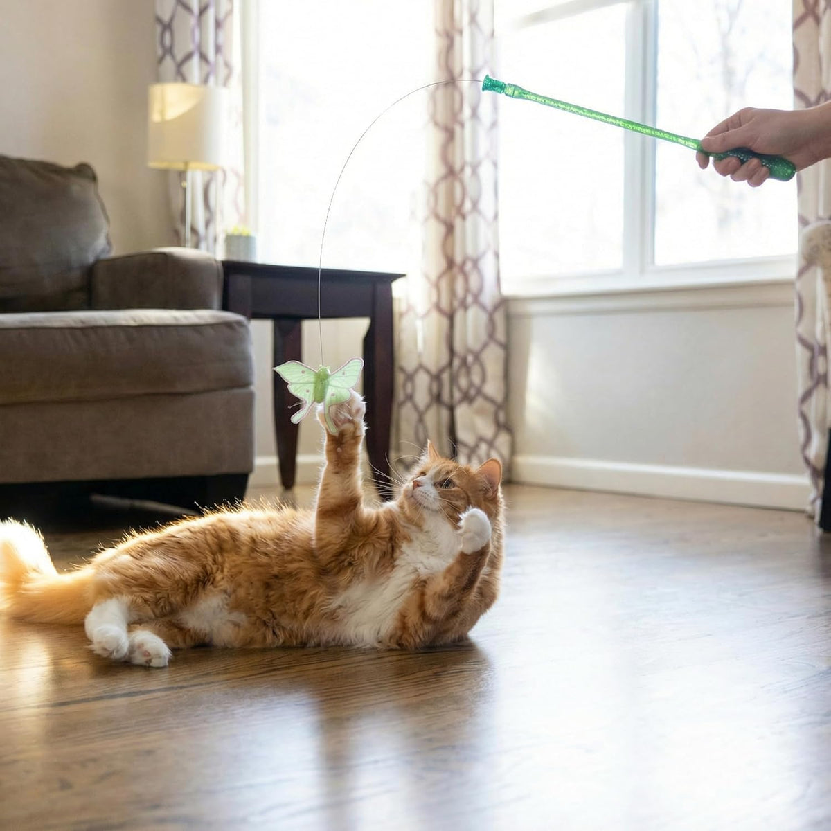 Interactive Bug Teaser Wand Toy for Indoor Cats 15in