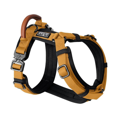 Y Shaped Padded Nylon Dog Harness with Leather Handle