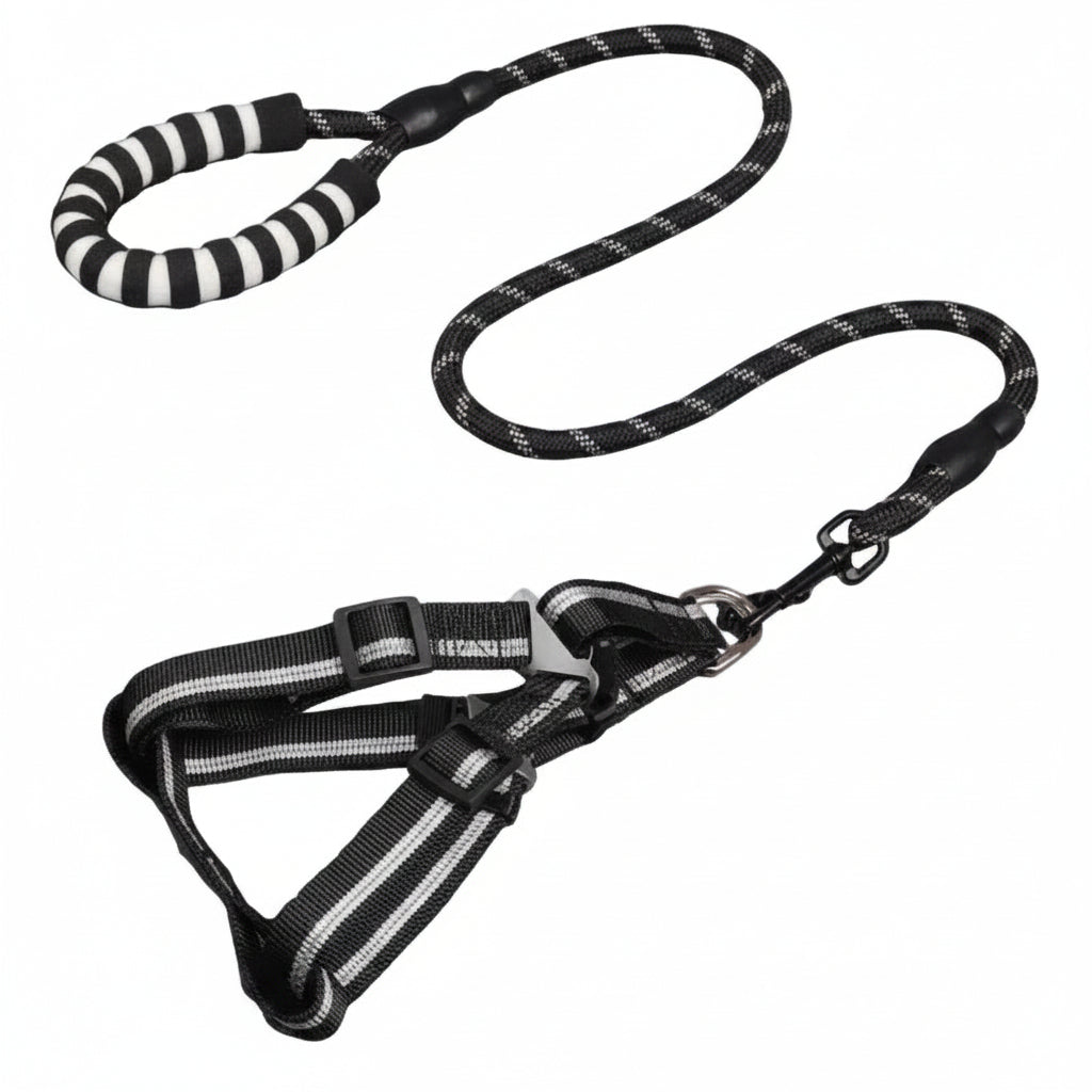 Black and white striped dog leash with a matching harness and padded handle, shown on a plain white background.