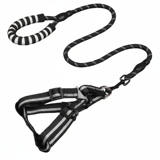 Black and white striped dog leash with a matching harness and padded handle, shown on a plain white background.