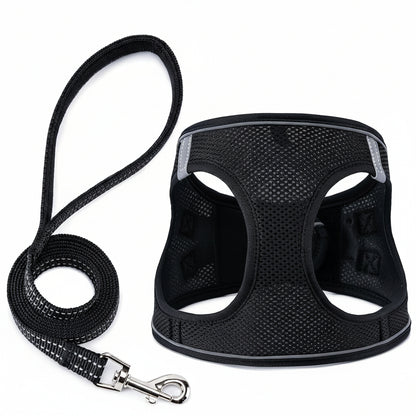 Black dog harness and leash set with 'BOOMBOO' branding on a white background