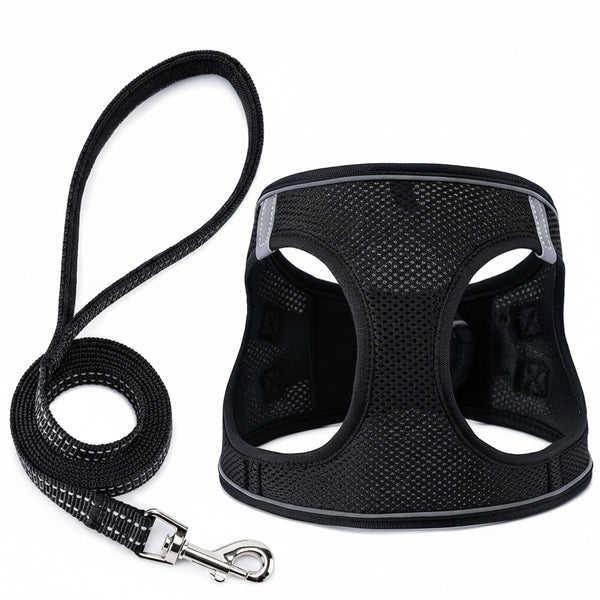 Black dog harness and leash set with 'BOOMBOO' branding on a white background