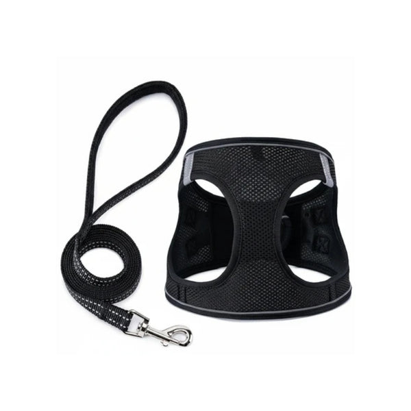 Black dog harness and matching leash set with silver metal clasp, shown on a plain white background.