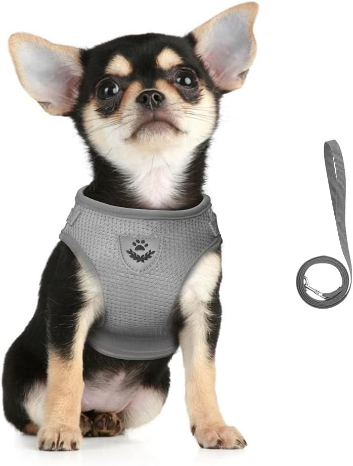 Breathable Mesh Dog Vest Harness and Leash Set Grey