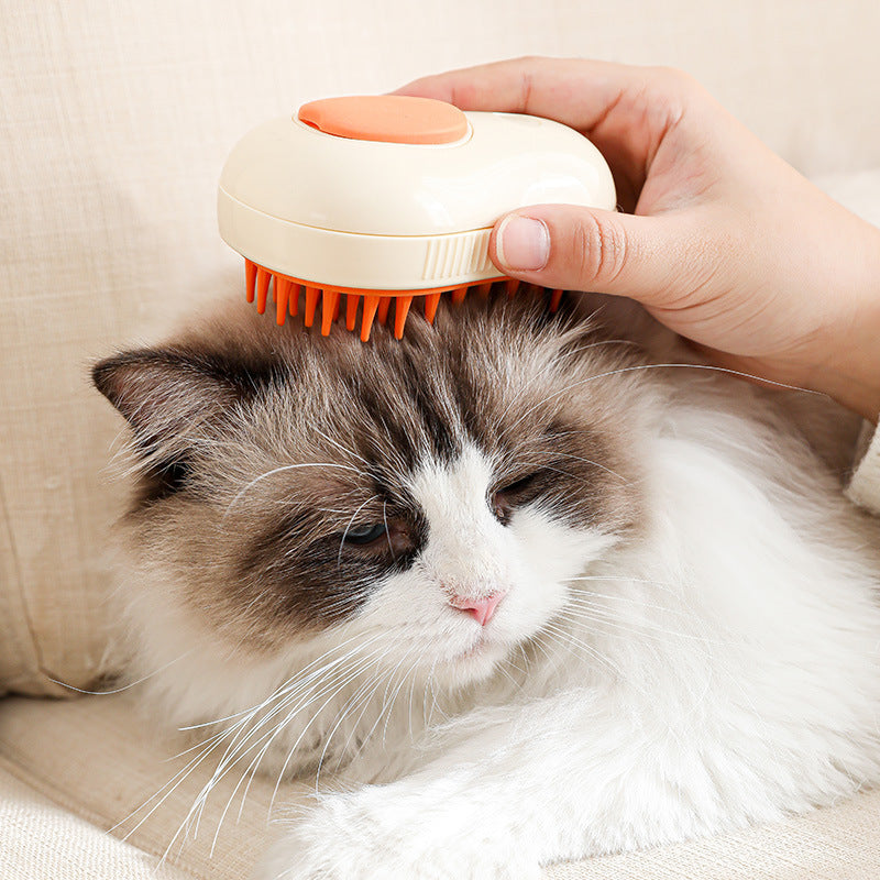 Cat being groomed with a pet grooming brush on a beige couch