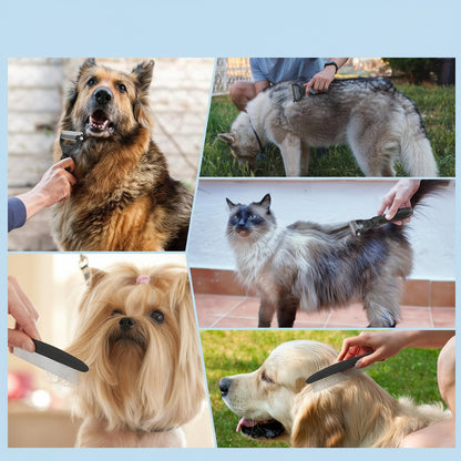 Collage of dogs being groomed 