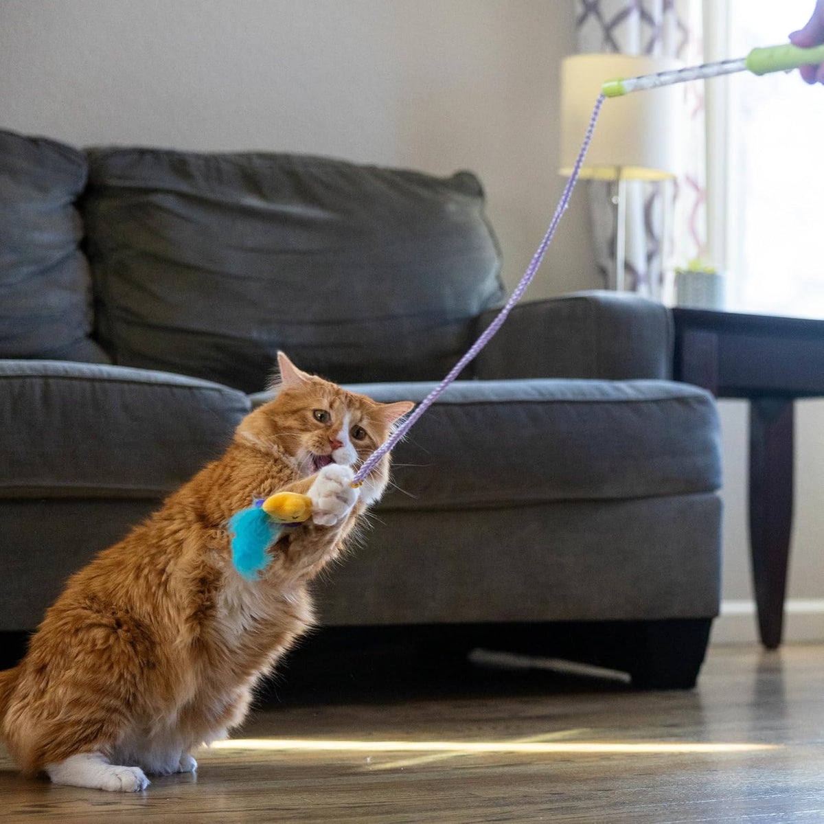 Light-Up Star Teaser Wand Toy for Indoor Cats 12.1in