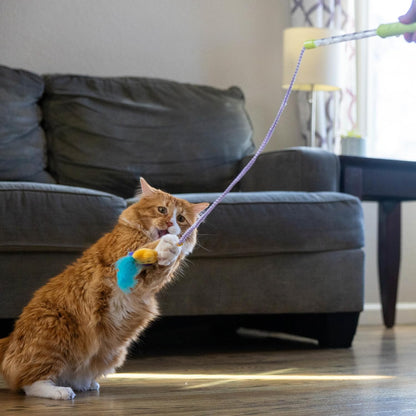 Light-Up Star Teaser Wand Toy for Indoor Cats 12.1in