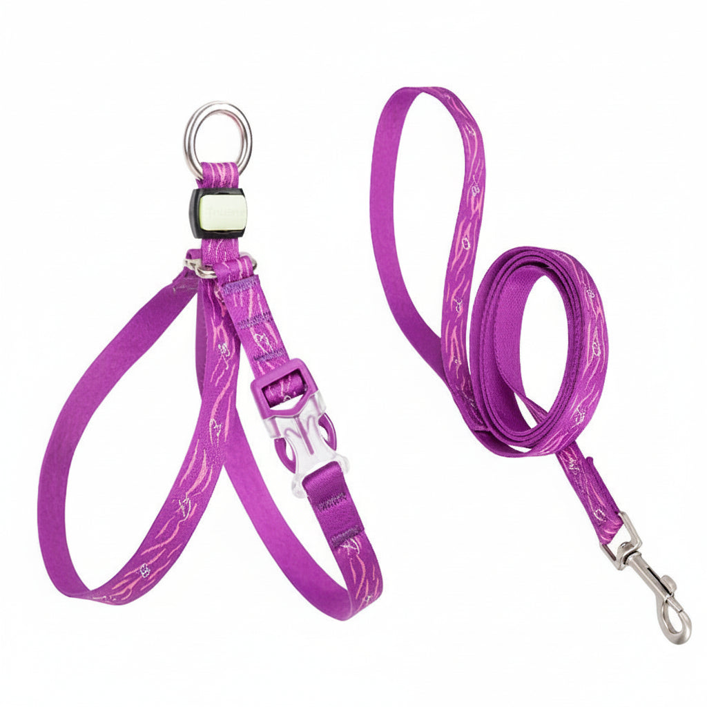 Purple dog leash and collar set on a white background