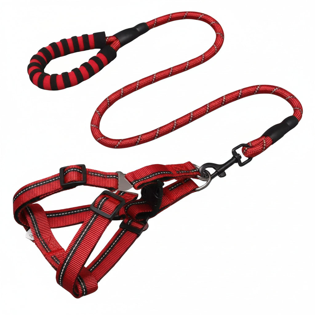 Red and black dog harness with matching leash on a plain white background.